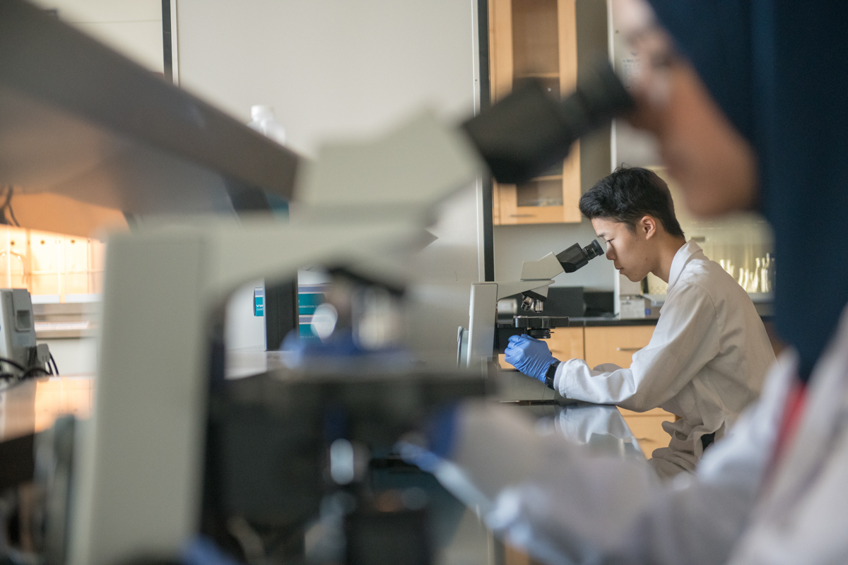 academics image showing chairs, glass, north campus, talking, tables, smiling, science, sitting, students, laboratory at science building