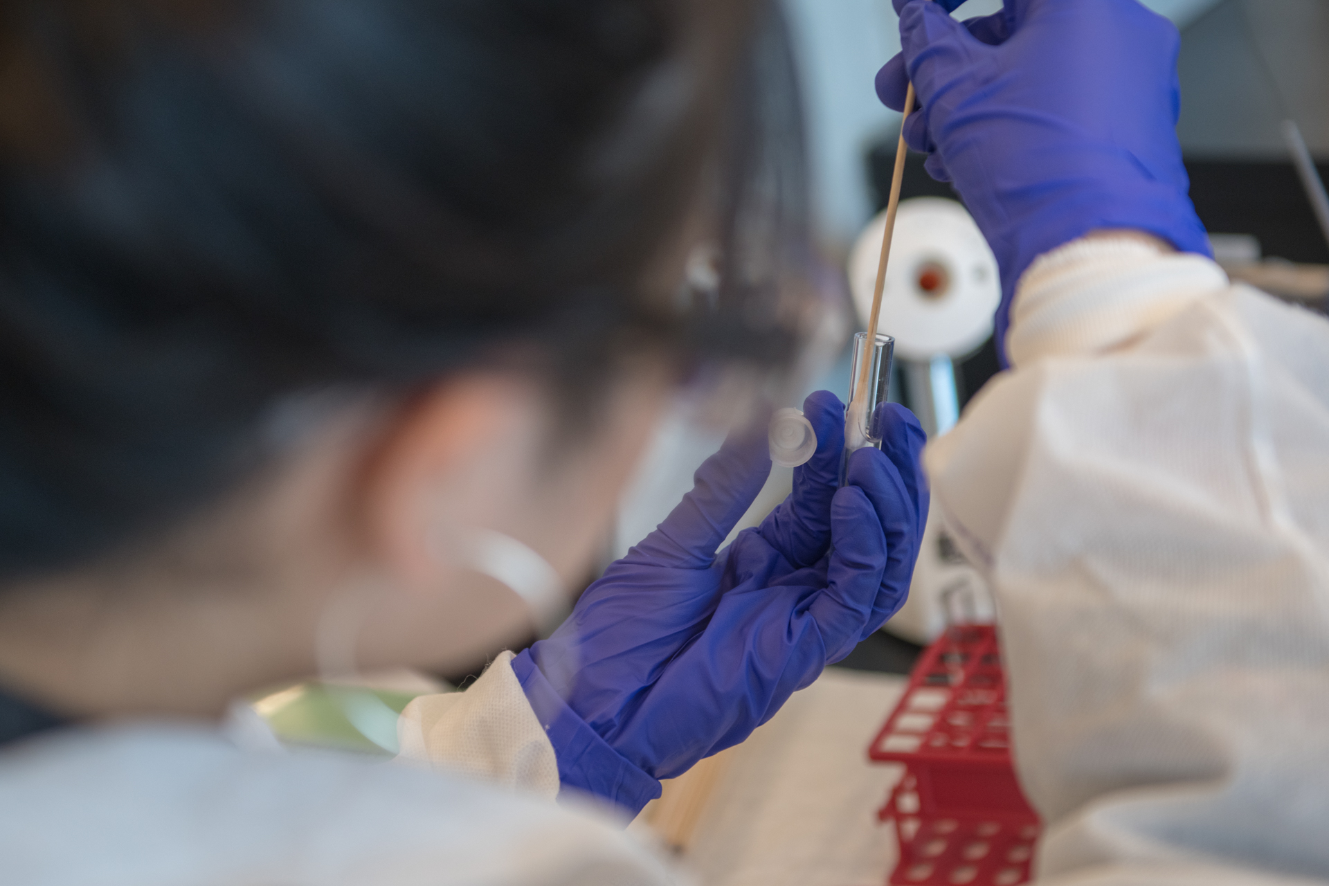 A student inspects a swab and tube.