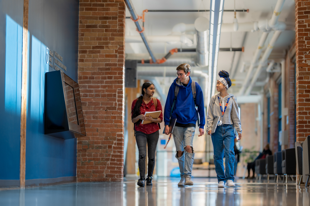 students studying on campus
