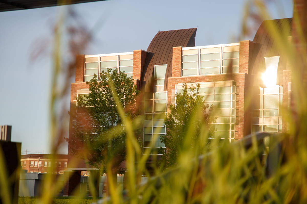 Ontario Tech building through bull rushes