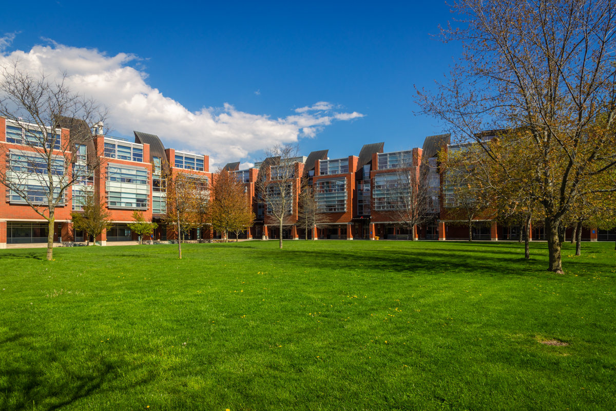 Polonsky Commons field
