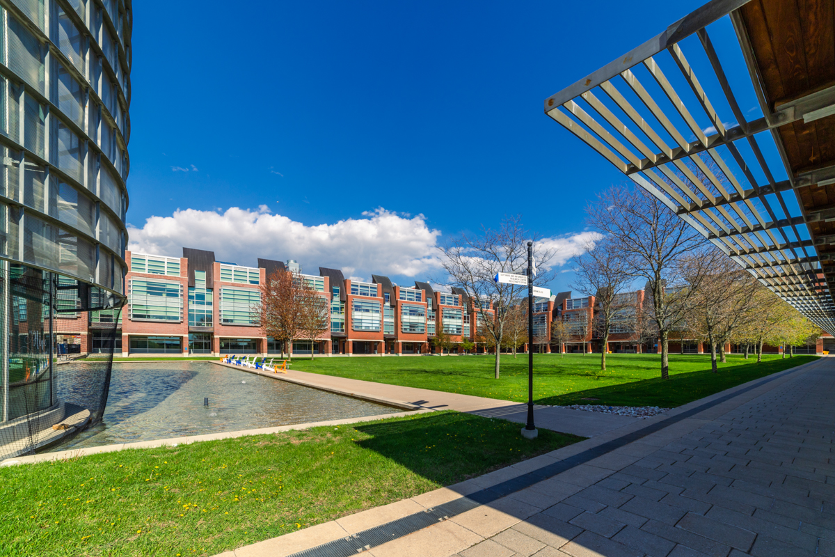 buildings image showing grass, common area, outdoors, tree, water, polonsky at polonsky commons