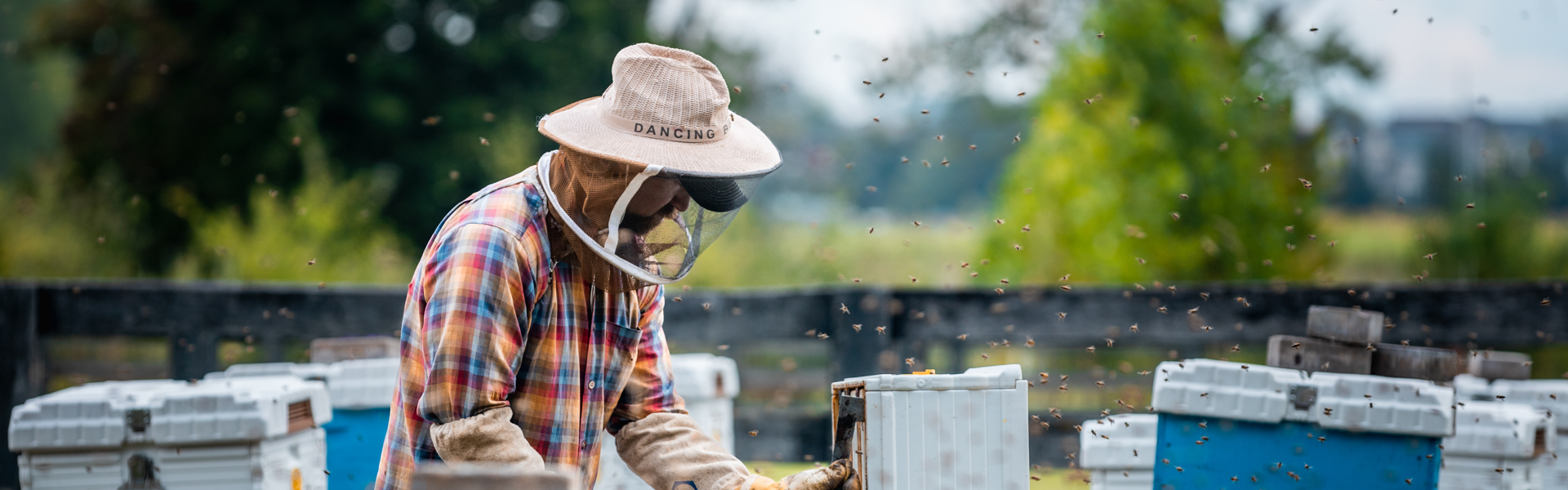 events image showing farm, event, outdoors, bees at windfields farm