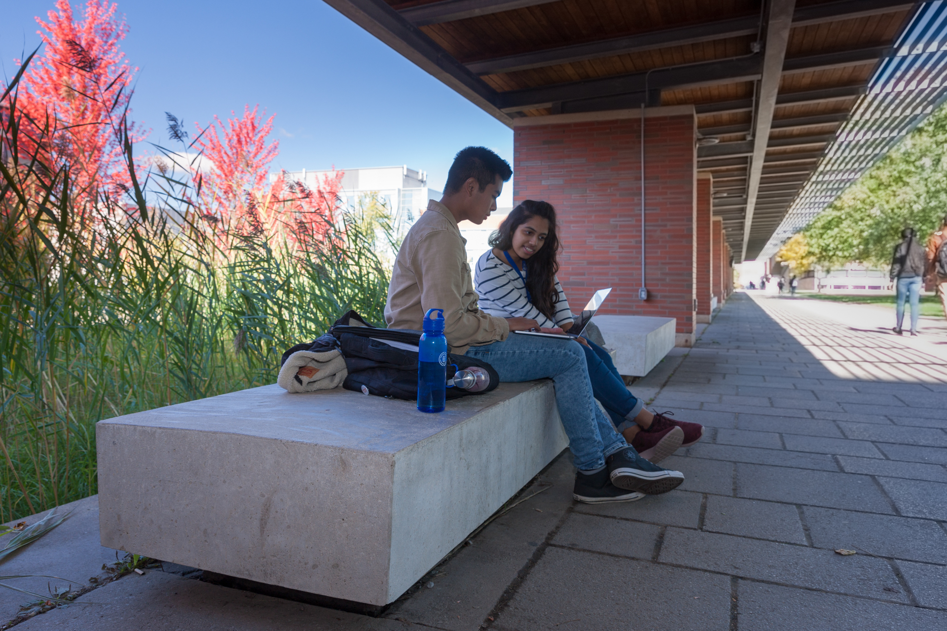 Two students sit on a bench outside looking at a laptop.